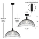 19.75" 1-Light Brigitte Pendant Light Black