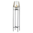 Leticia River of Goods Black Metal and Champagne Gold Glass Bowl 61-Inch Floor Lamp