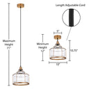 Bernadette River of Goods Brass Metal and Clear Glass Pendant Lamp
