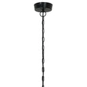 13" W Trudie Clear and Black Glass and Metal Pendant Light