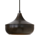 9.75" W 1-Light Mychele Bronze and Gold Metal Pendant Light