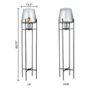 Leticia River of Goods Black Metal and Silver Glass Bowl 61-Inch Floor Lamp