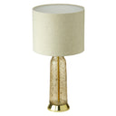 22" H 1-Light Raine Glass and Metal Table Lamp