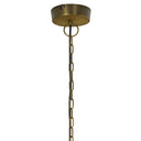13" W Trudie Clear and Gold Glass and Metal Pendant Light