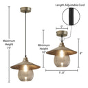 11.8" W 1-Light Charley Glass and Metal Pendant