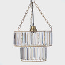 12" W 1-Light Constance Glass and Metal Pendant