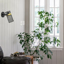 12"H Geo Black Painted Metal Mesh Drum Shade Wall Sconce