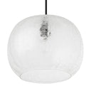 9.75" W Scottie Glam Clear Textured Glass & Black Metal Globe Shade Pendant Light