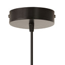 9.75" W Scottie Glam Clear Textured Glass & Black Metal Globe Shade Pendant Light
