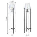 Leticia River of Goods Black Metal and Clear Glass Bowl 61-Inch Floor Lamp