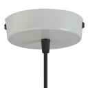 12.75" W 1-Light Kasey Rattan and Metal Pendant