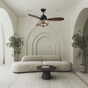 42" W Braxton LED Indoor Clear and Gold Glass Ceiling Fan with Barnwood/Black Blades, Remote Control