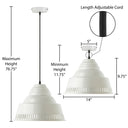 14" W 1-Light Aden Metal Pendant